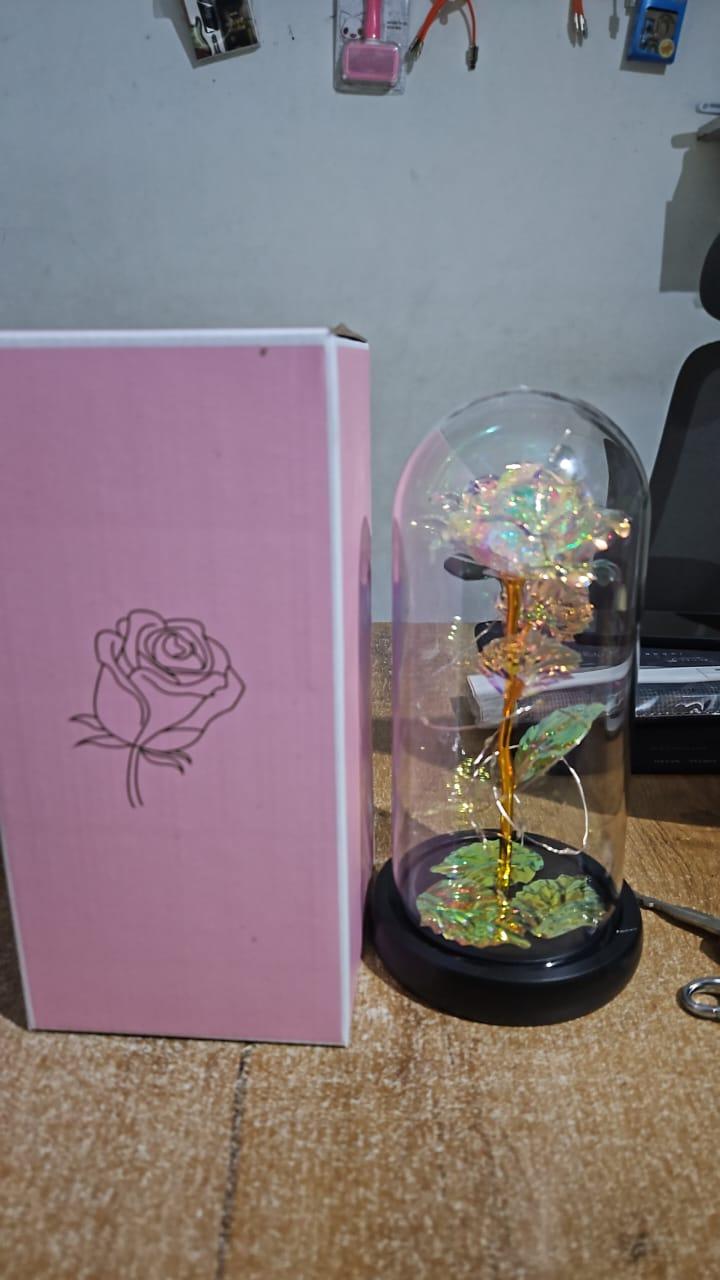 orever Plastic Rose Gift For Her, Galaxy Glass Rose Flower And Butterfly With Led Light Great Gift Ideas For Valentine's Day, Mother's Day, Birthday, Anniversary, Engagement