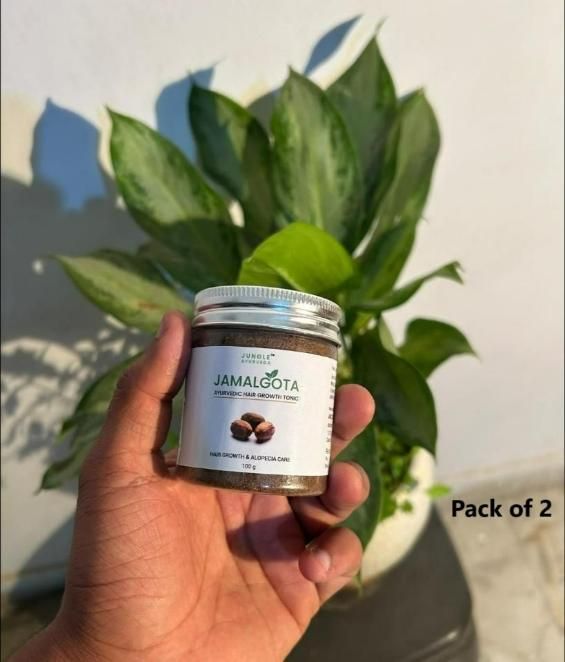 Jamalgota Ayurvedic Hair Growth Powder 100gm Each Pack of 2,Jamalgota Hair Lep Treatment for Hair Growth and Alopecia Areata, Natural Ayurvedic Lep for men and women